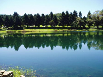 Mirror Lake RV Camping & Fishing photo 2