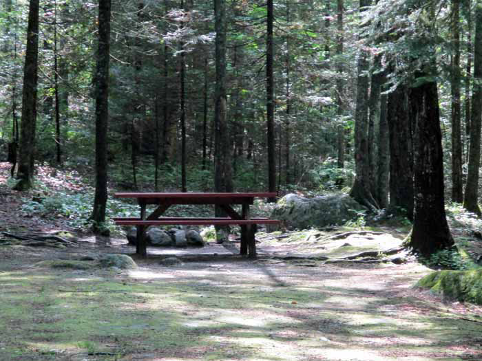 Apple Hill Campground photo 6