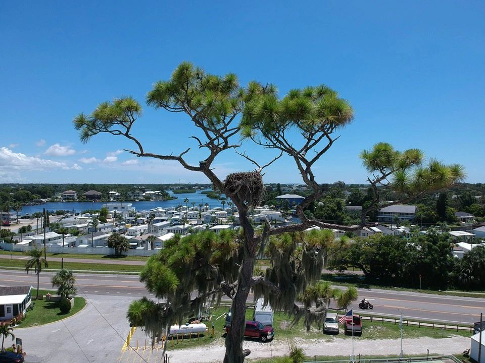 Bay Aire RV Park photo 7