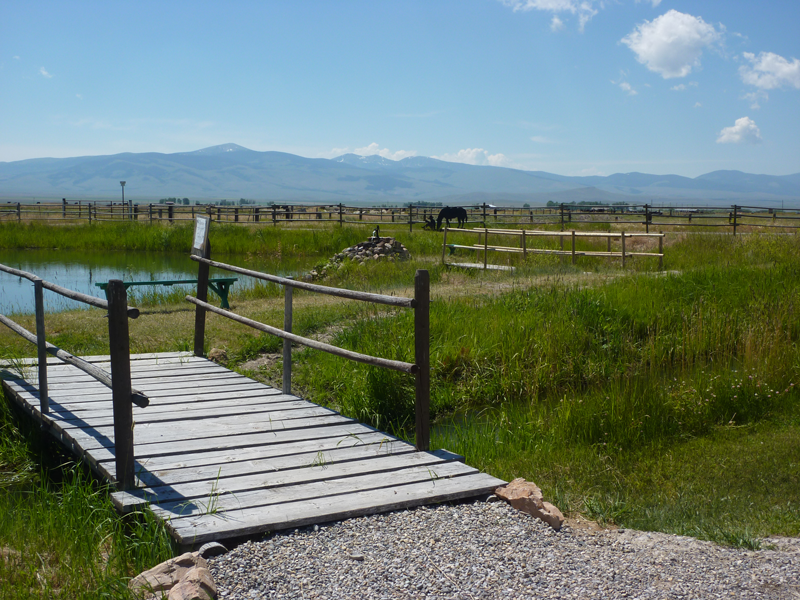 Conestoga Campground photo 8