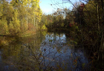 Adirondack Gateway Campground & Lodge photo 2