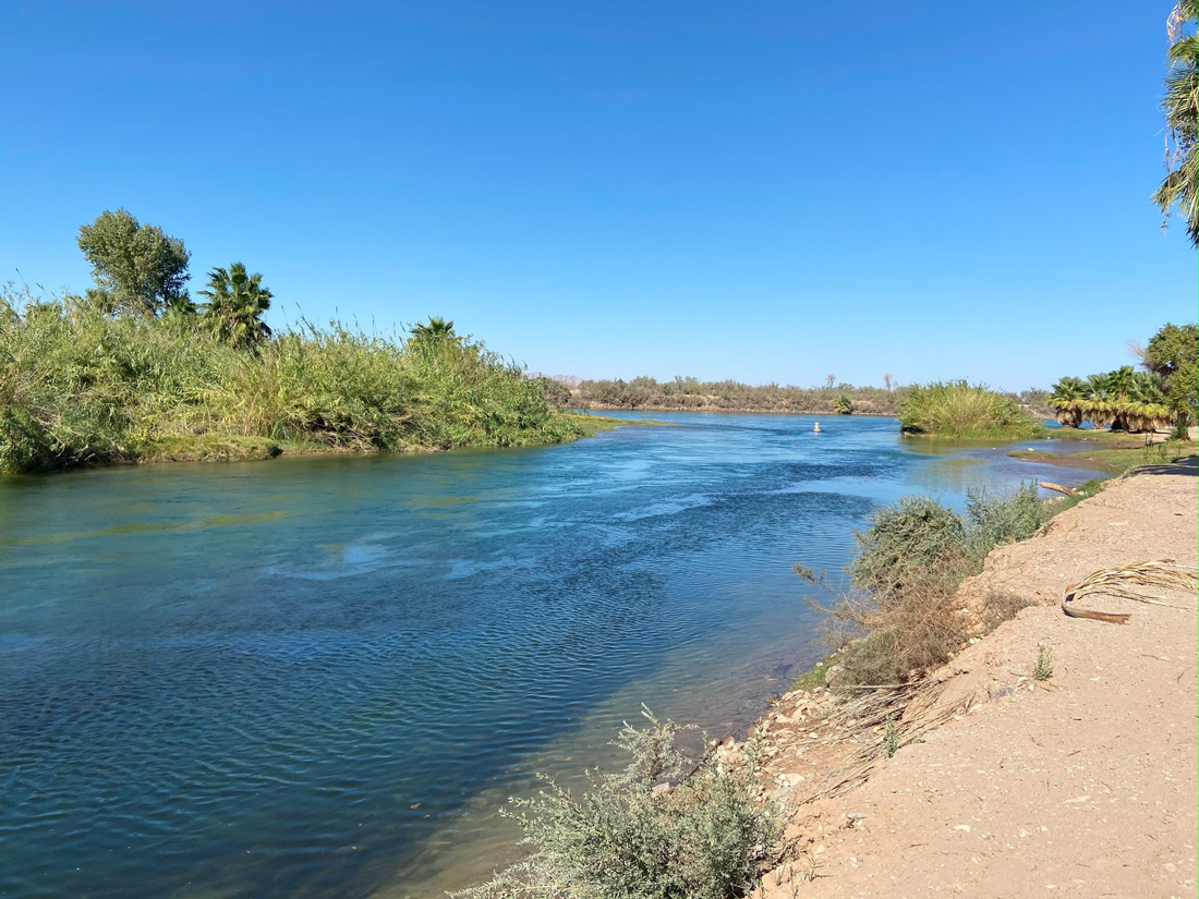 Arizona Oasis RV Resort photo 9