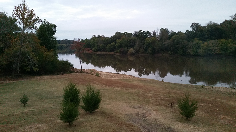 Brad's Old Ferry Landing Campground & RV Park photo 3