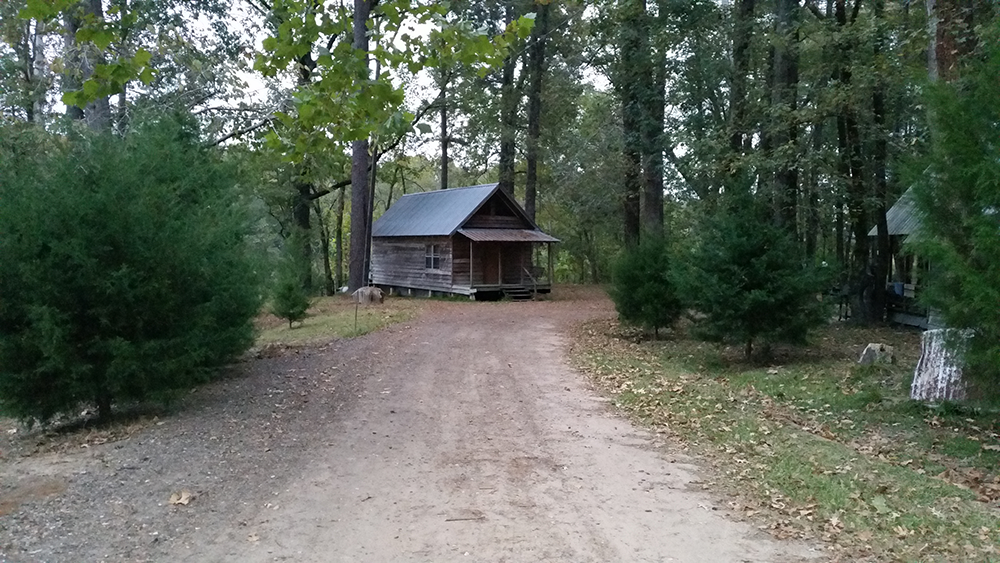 Brad's Old Ferry Landing Campground & RV Park photo 4