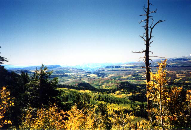 Camp Lutherwood photo 2