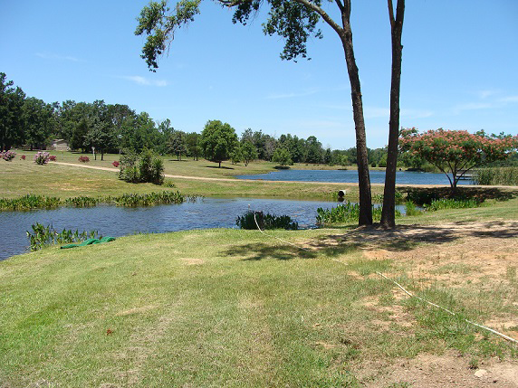 Cajun Cowboy RV Park photo 2