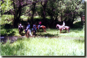 Allen Ranch