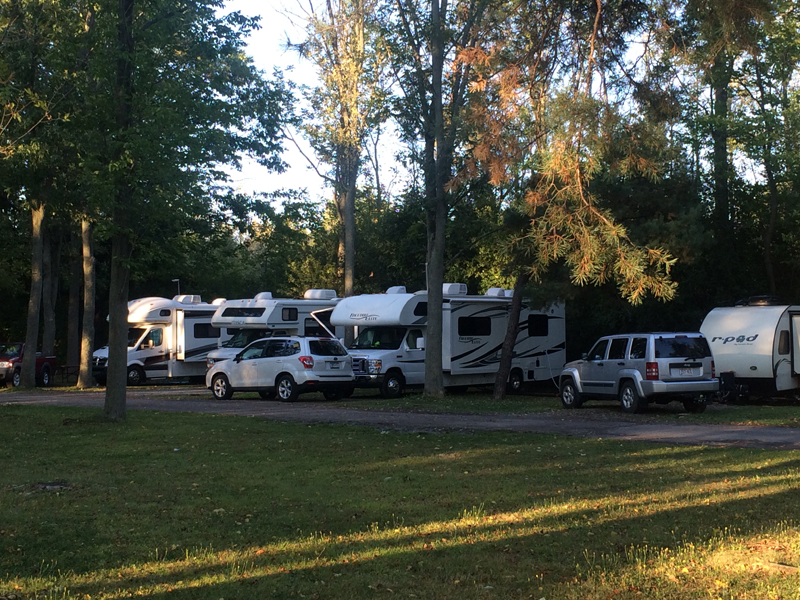 Cinderella Motel & Campsite photo 2