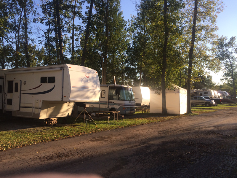 Cinderella Motel & Campsite photo 5