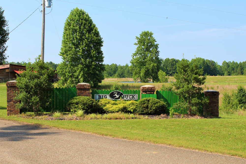 Big Buck Resort photo 2