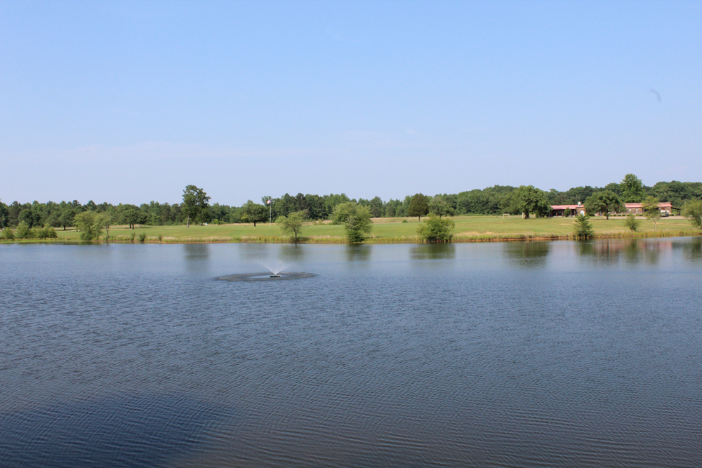Big Buck Resort photo 4