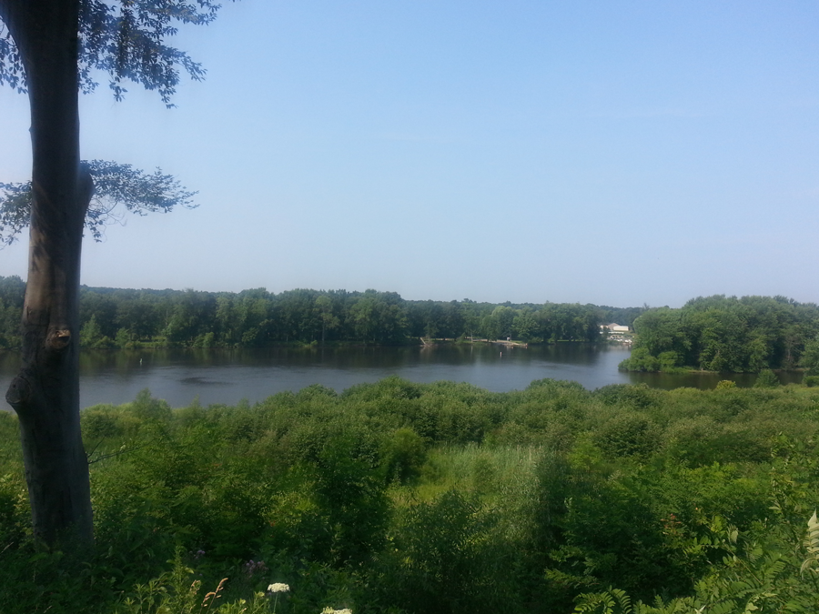 Conestoga Grand River Campground photo 4