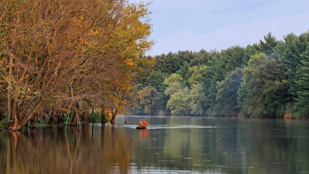 Avoca Lakeside Park & Campground photo 4