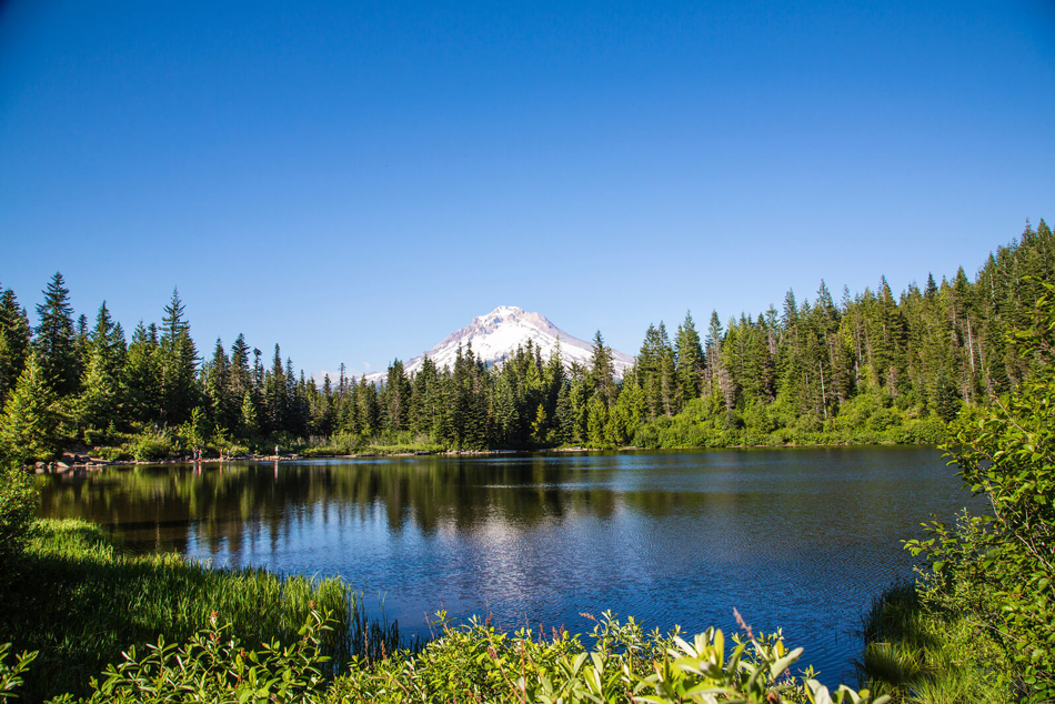 Mount Hood Village Campground