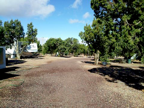 Arizona High Country Campground photo 2