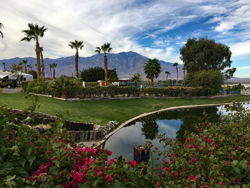 Catalina Spa & RV Resort photo 3