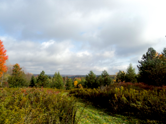 Camp Emerald Acres photo 2