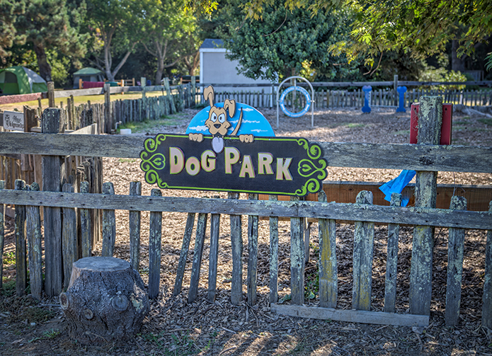 Casini Ranch Family Campground photo 10