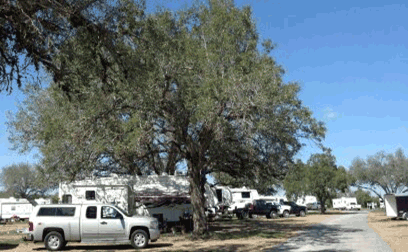Angels in Goliad RV Park photo 6