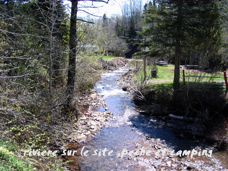 Camping Du Cap Rouge photo 8