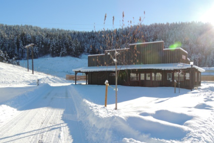 Gold Mountain RV Park photo 6