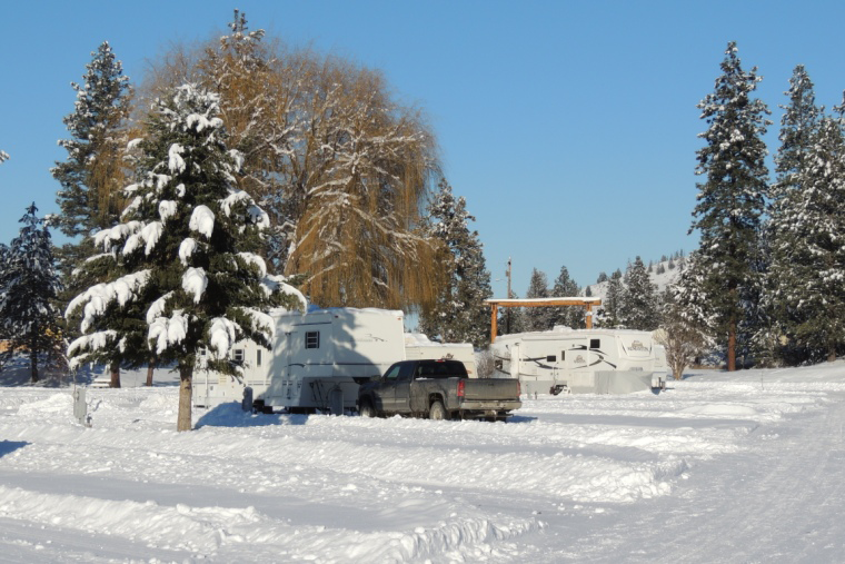 Gold Mountain RV Park photo 8