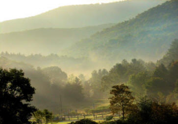 Montebello Camping and Fishing Resort photo 5
