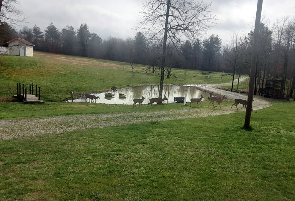 Ballyhoo Family Campground photo 7