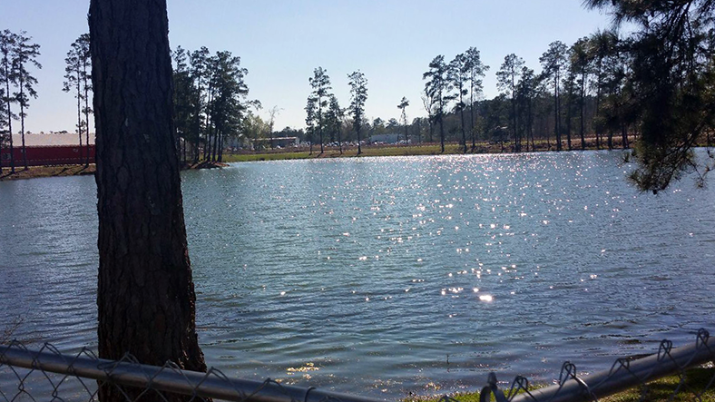 59 Trading Place RV Park photo 3