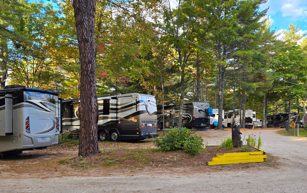 Beaver Hollow Campground photo 2