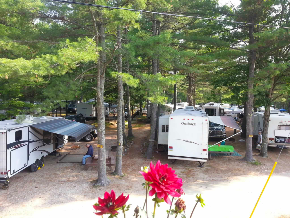 Beaver Hollow Campground photo 6