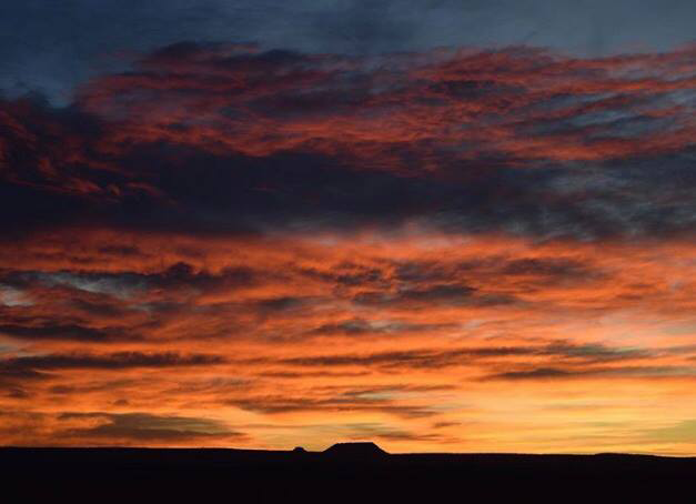 Cuervo Mountain RV Park & Horse Hotel photo 7