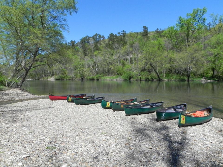 Arrowhead Cabins and Camping photo 6