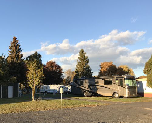 Goose Creek RV Park photo 5