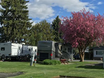 Goose Creek RV Park photo 12