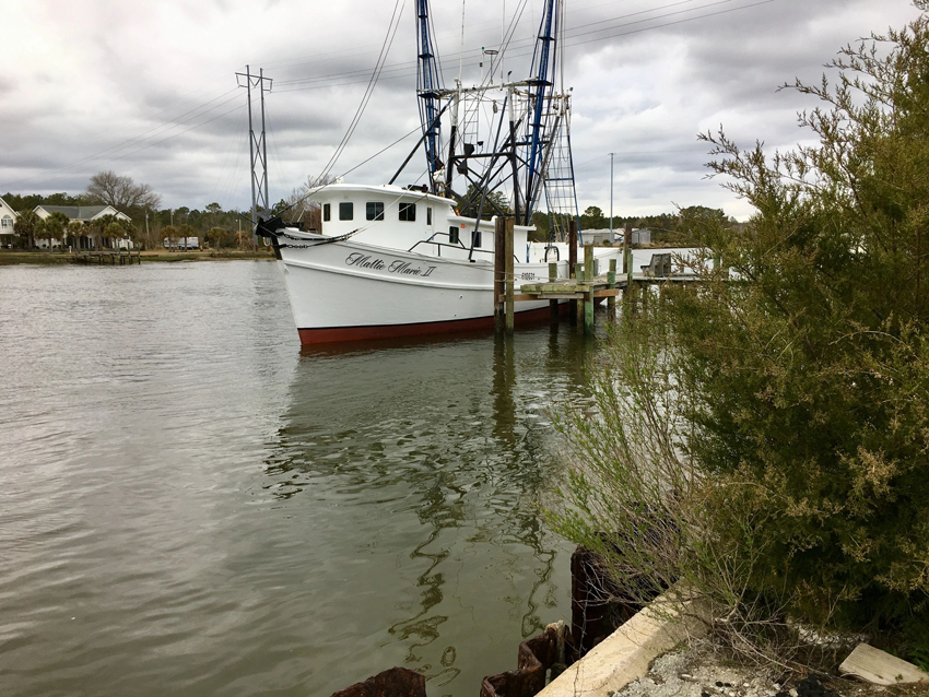 Beaufort Waterway RV Park photo 10