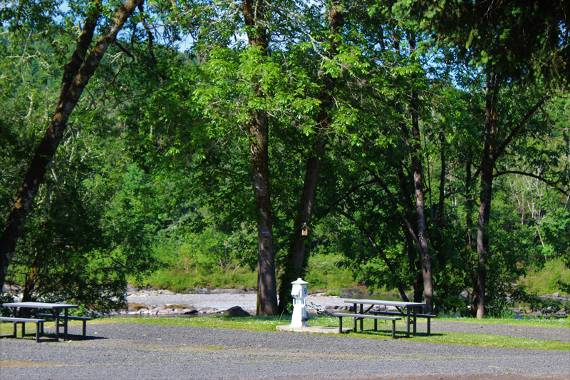 Elkton RV Park photo 5