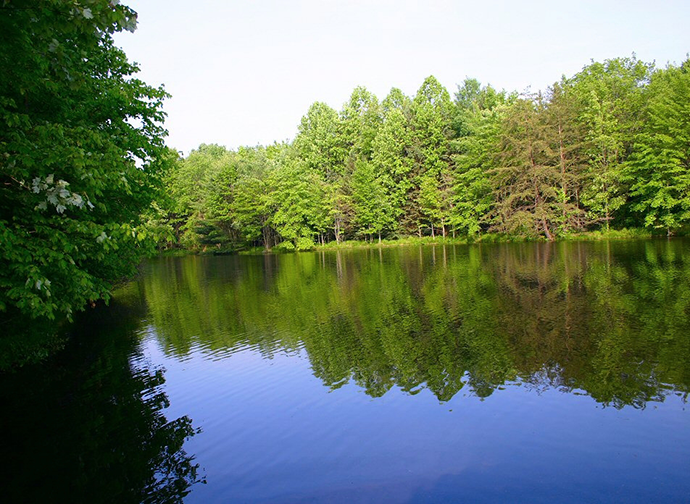 Lake Heron Retreat
