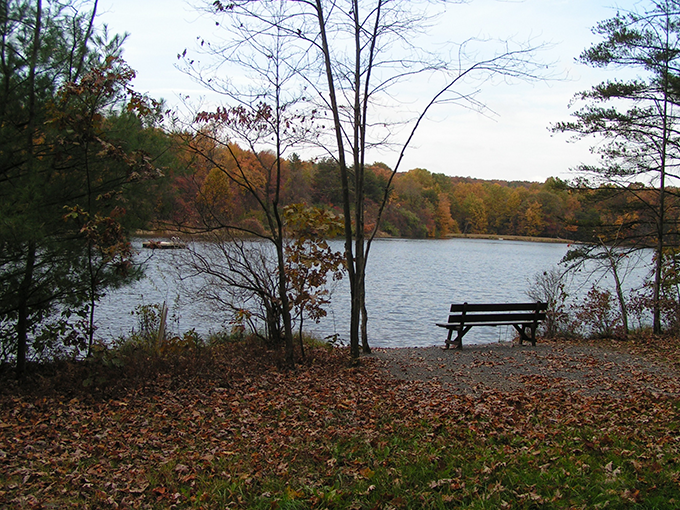 Lake Heron Retreat photo 2