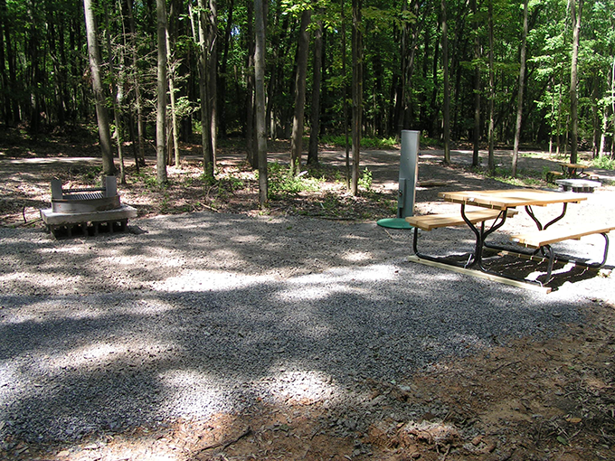 Lake Heron Retreat photo 5