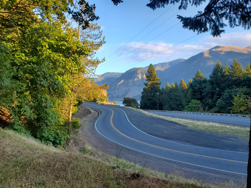 Dog and Wind Mountain RV Park photo 3