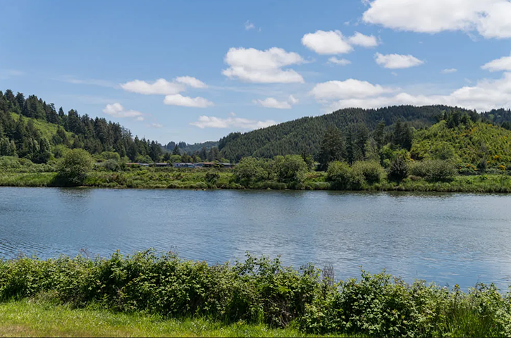 Coho RV Park and Marina photo 9
