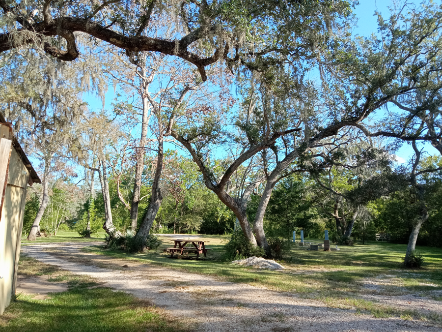 Alexsandra RV Park photo 2