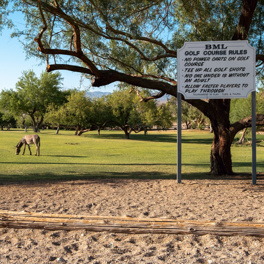 Black Meadow Landing photo 9
