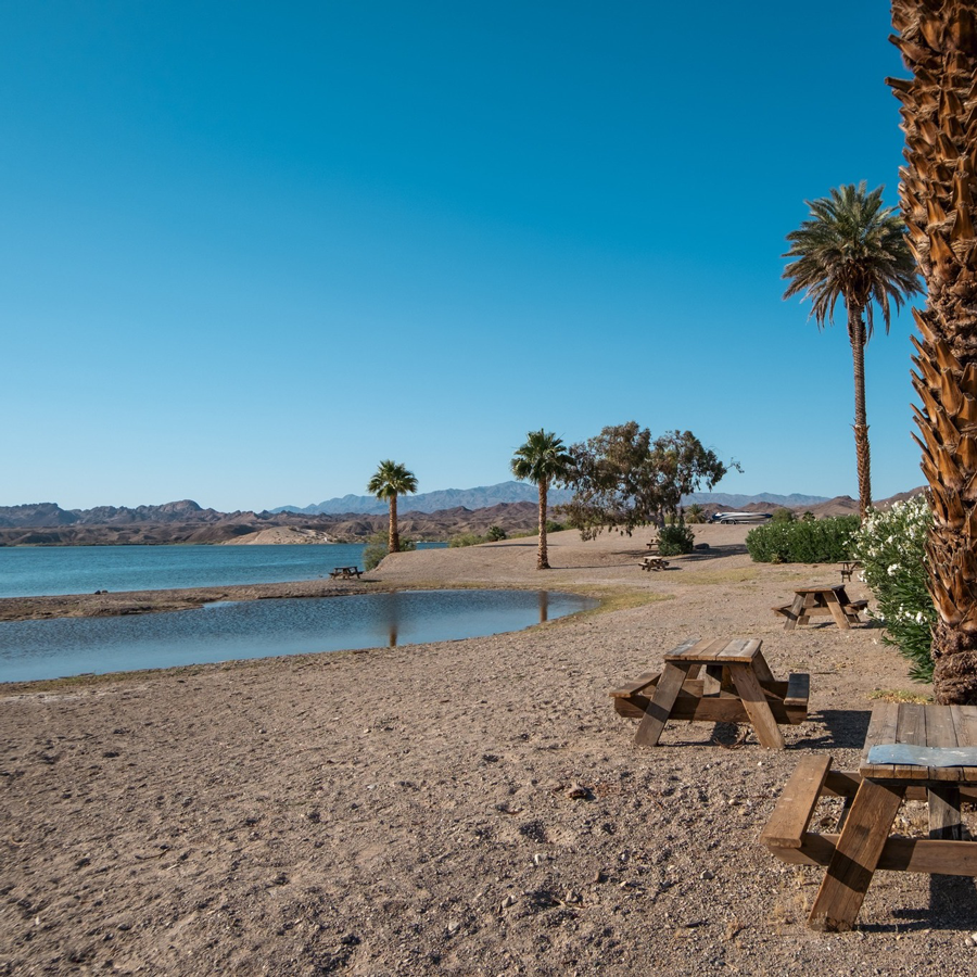 Black Meadow Landing photo 10