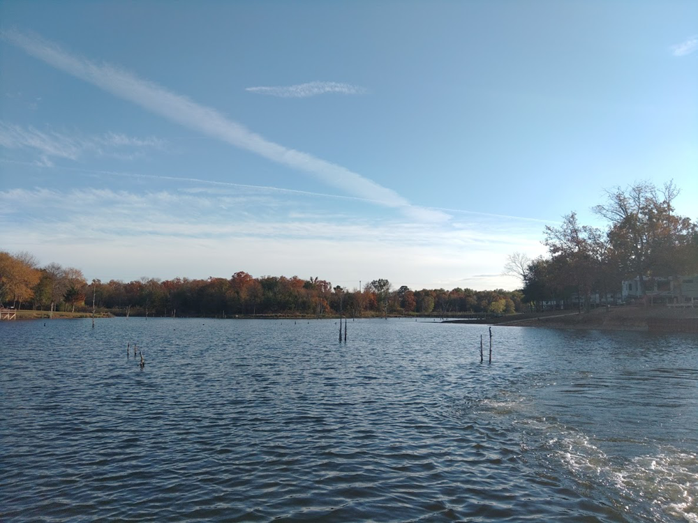 A&F RV Resort photo 7
