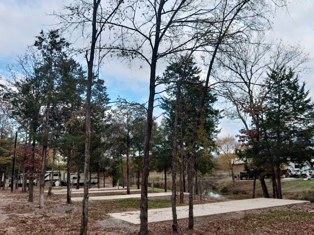 A&F RV Resort photo 9