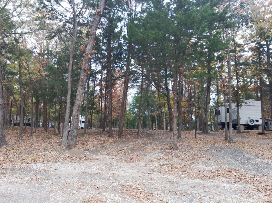 A&F RV Resort photo 11