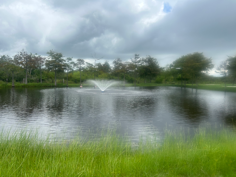 Alluring Oaks RV Park photo 2