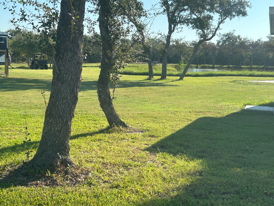 Alluring Oaks RV Park photo 4